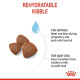 Royal Canin Medium Starter Mother & BabyDog – Hrană Uscată pentru Cățele Gestante/în Lactație și Pui de Câine de Talie Medie – 4 kg